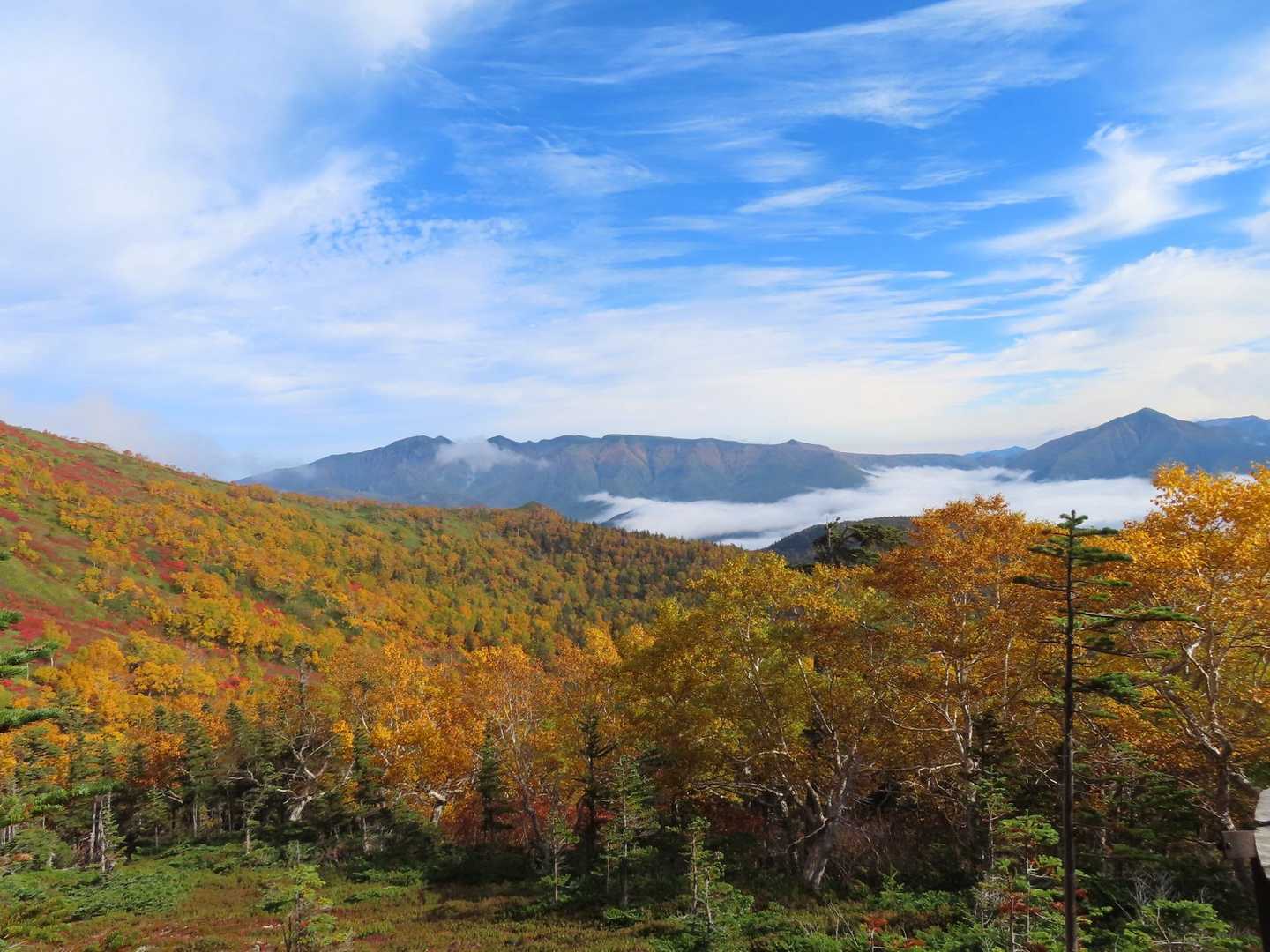 赤岳登山口-第一花園-赤岳 往復コースの写真