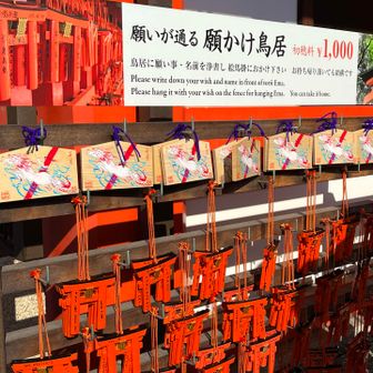 願かけ鳥居は、御利益がかなりありそうに思いました。