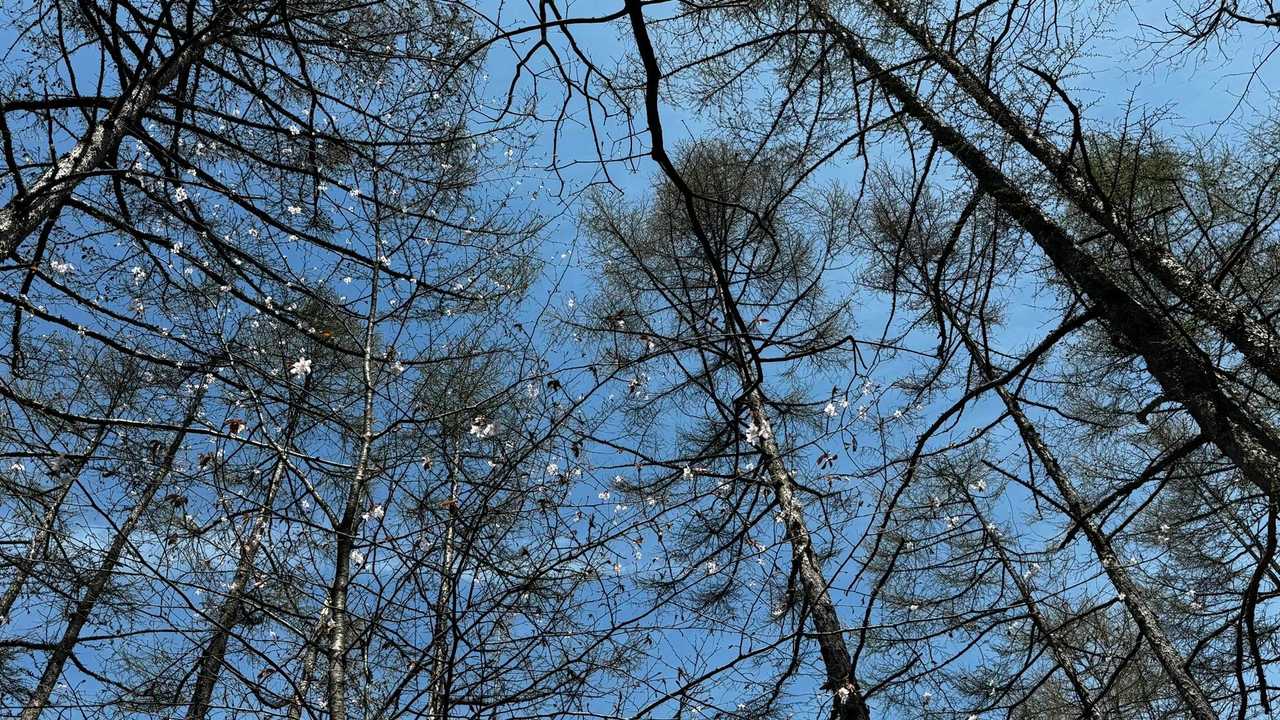 御前山 の写真 33