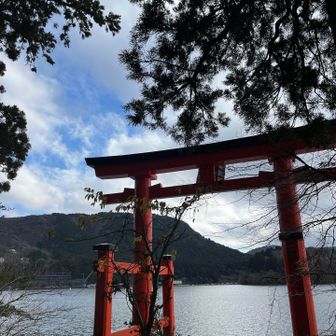物凄い行列だったので諦めます。
なので鳥居だけ⛩️❣️