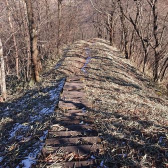 先へ進みます◎

藪がカットされてて
ラッキー！！