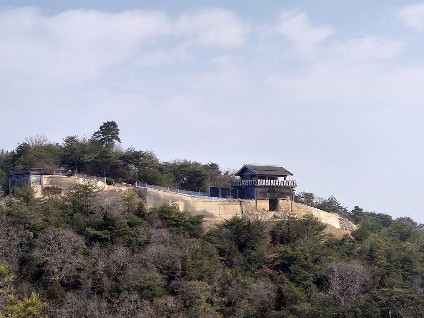 鬼城山ビジターセンター登山口-犬墓山 周回コースの写真