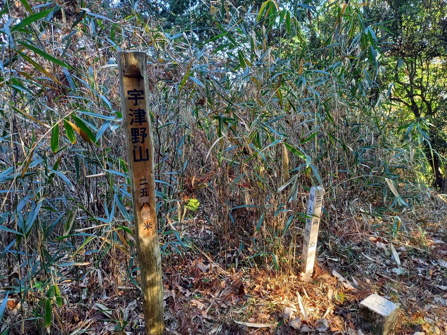 宇津野山到着！👍️