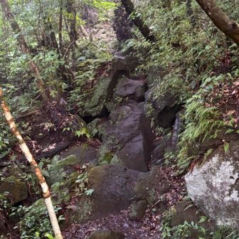 岩場ゾーン。下りでバランスを崩して転倒しました…(疲れて脚に力が入らず)