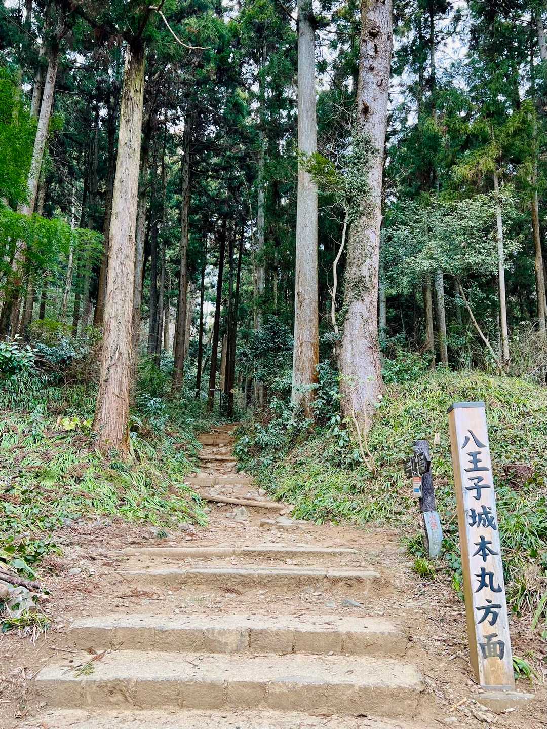ハイキングが目的じゃなかったのですが…