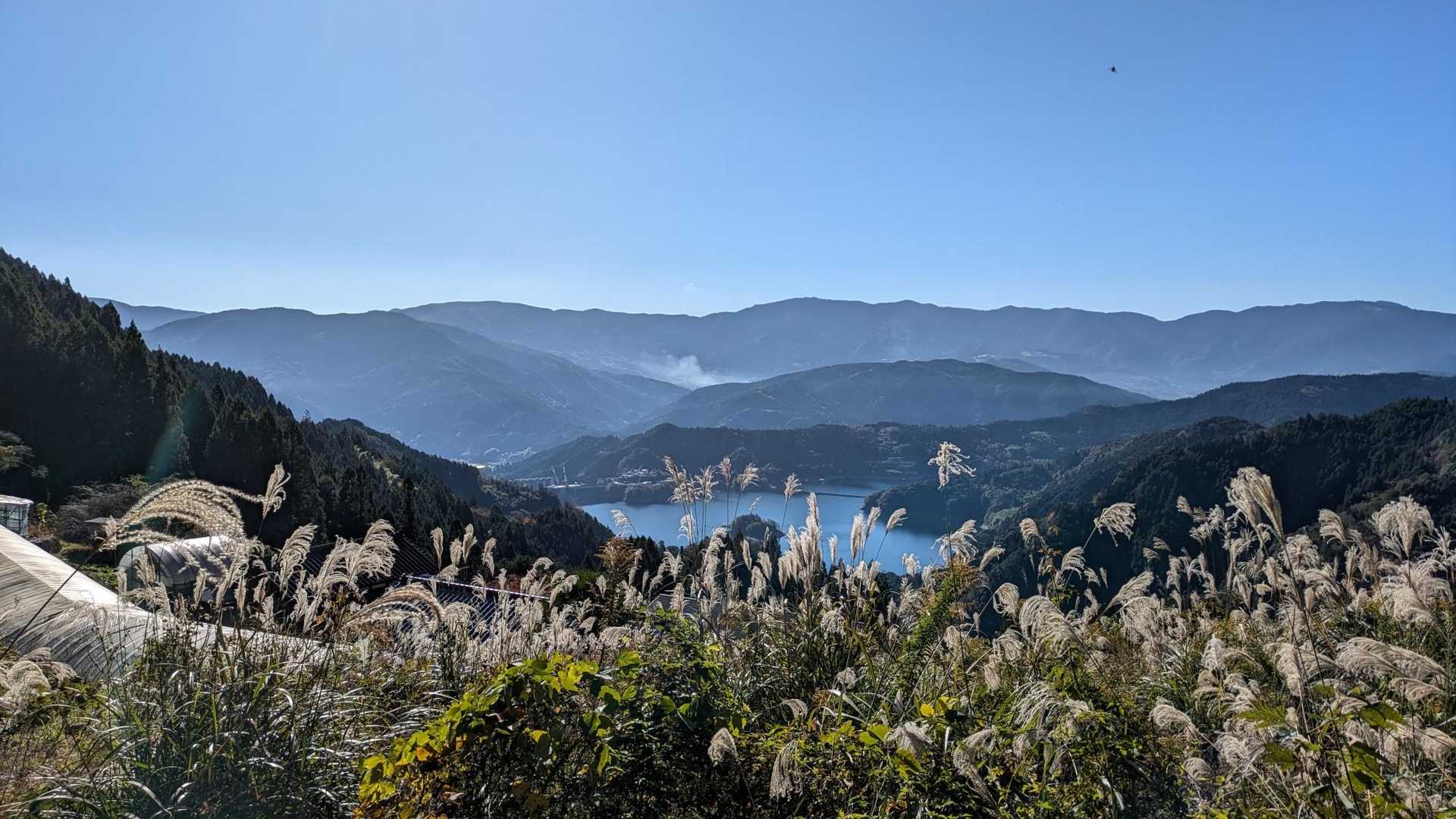 登り初めて、はいもう帰って良いレベル😙本日2回目✌