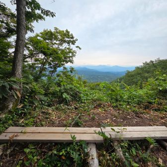 花立峠のちょっと先(長工新道の方)のベンチで