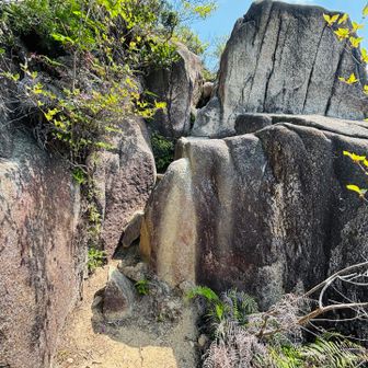 今度はココを登ります😌