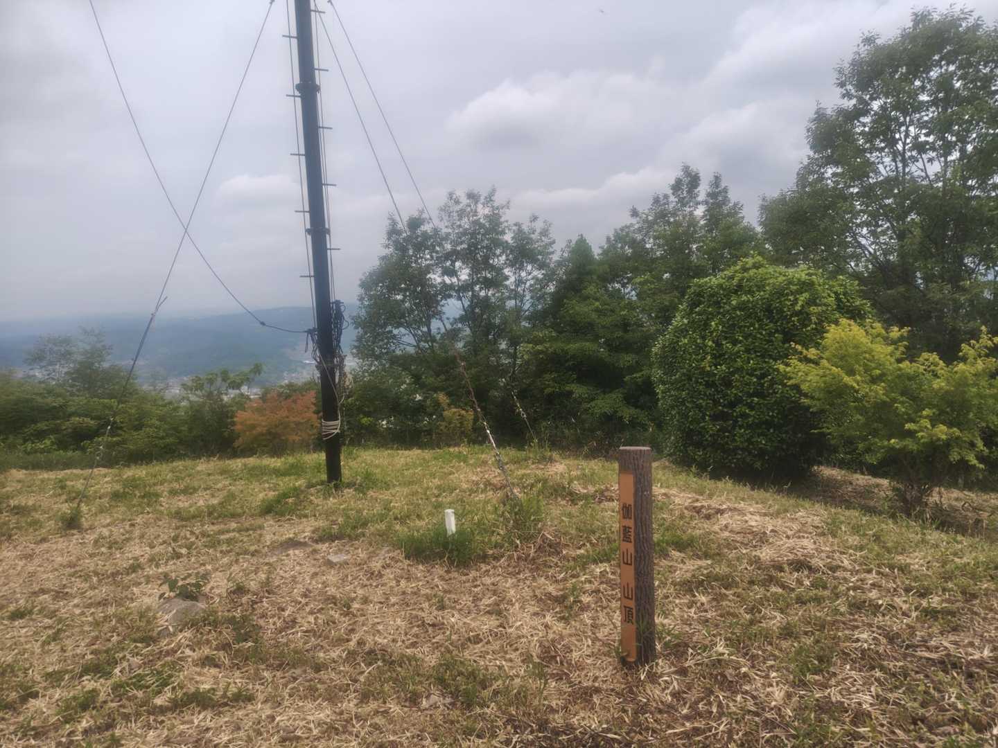 伽藍山 往復コースの写真