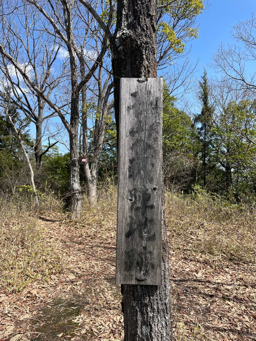 秩父山山頂🔺
ここは黒田官兵衛が初陣の青山合戦陣地跡とか…