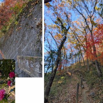 では要害山へ登ります