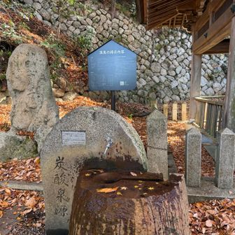 鉄サビの味がして飲める代物ではありませんでした。