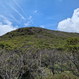 稲星越から稲星山を