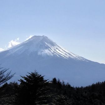 御巣鷹山頂上手前からの富士山🗻✨️