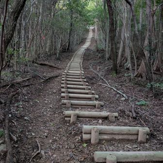 いい感じの階段、萌えるぜ〜