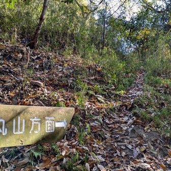 八祖山ピークの分岐

ここ
ホント迷う💦

行きでも　迷い
八祖山へも　迷った

気を取り直し
八祖山へ