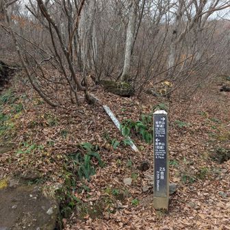 登りは旧道、下りは新道