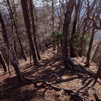 山頂からの下山路の様子