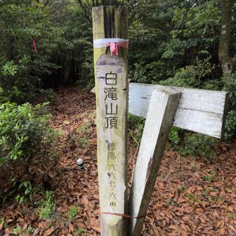 そして白滝山山頂　667.8m