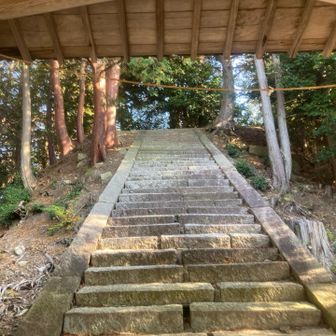 雨宮龍神社の石段。この上にお社があります。