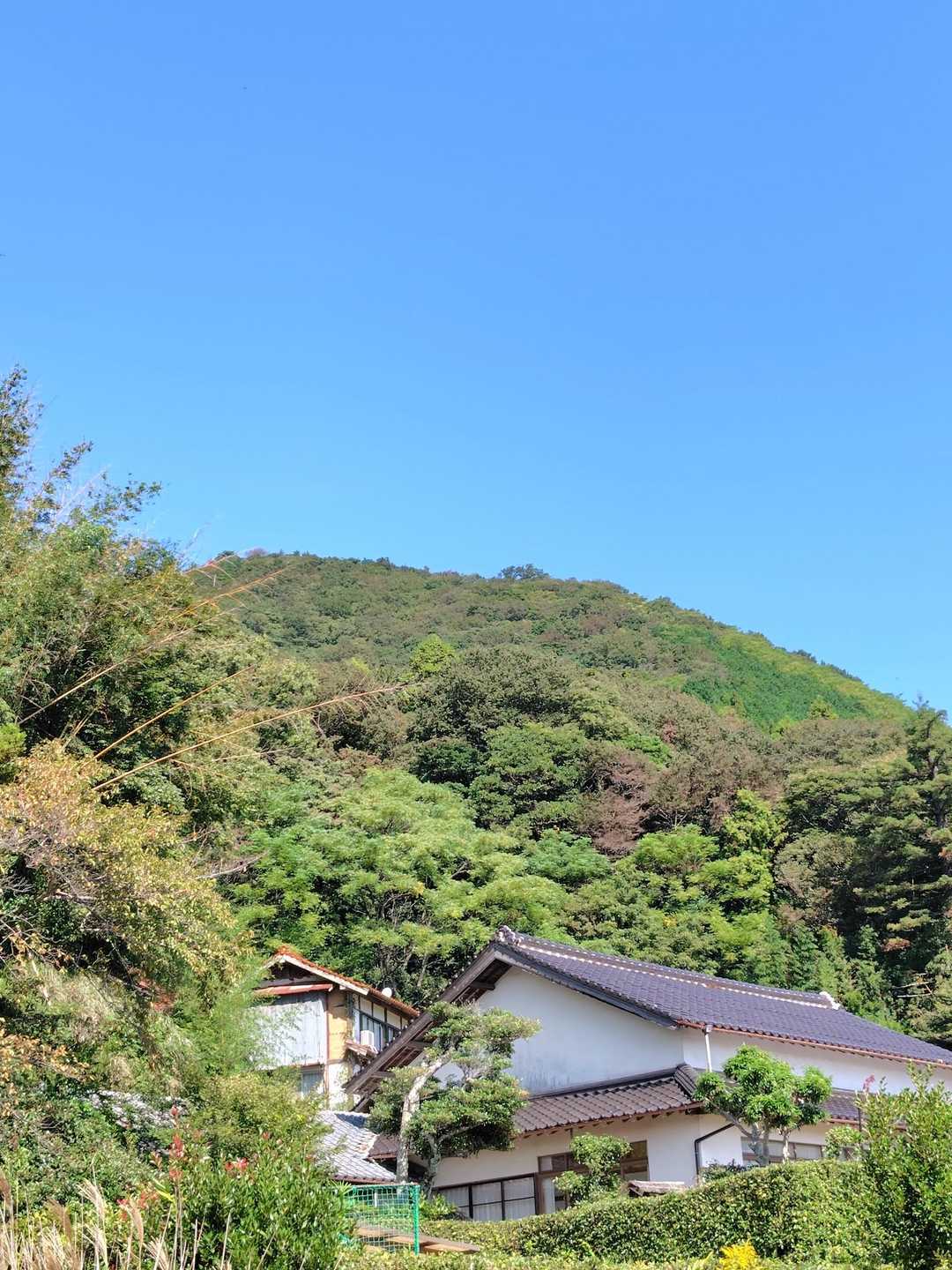 鳶ケ巣さん🗻を 振り返って