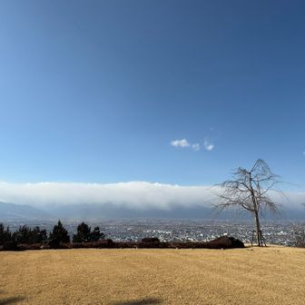 中山山頂...と思われる
