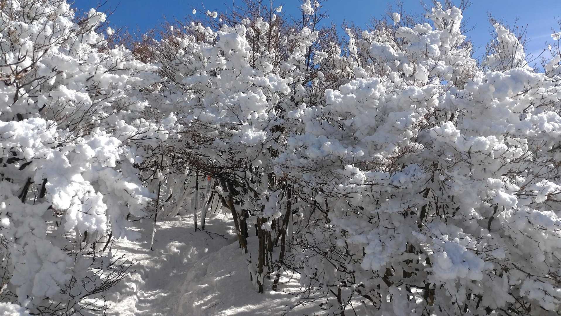 腰をかがめないと進めない雪のトンネル😅