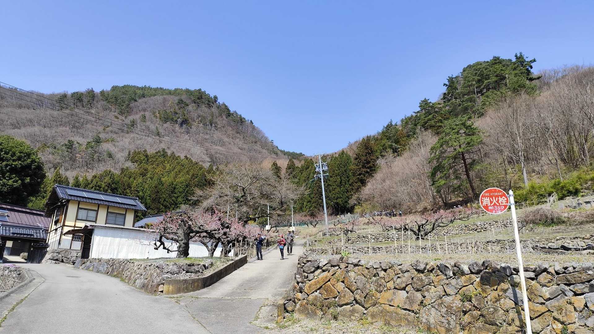 あんず祭りへ