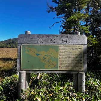 鬼怒沼へ到着
ここまでがなかなかな💦　しんどかった(´▽｀*)