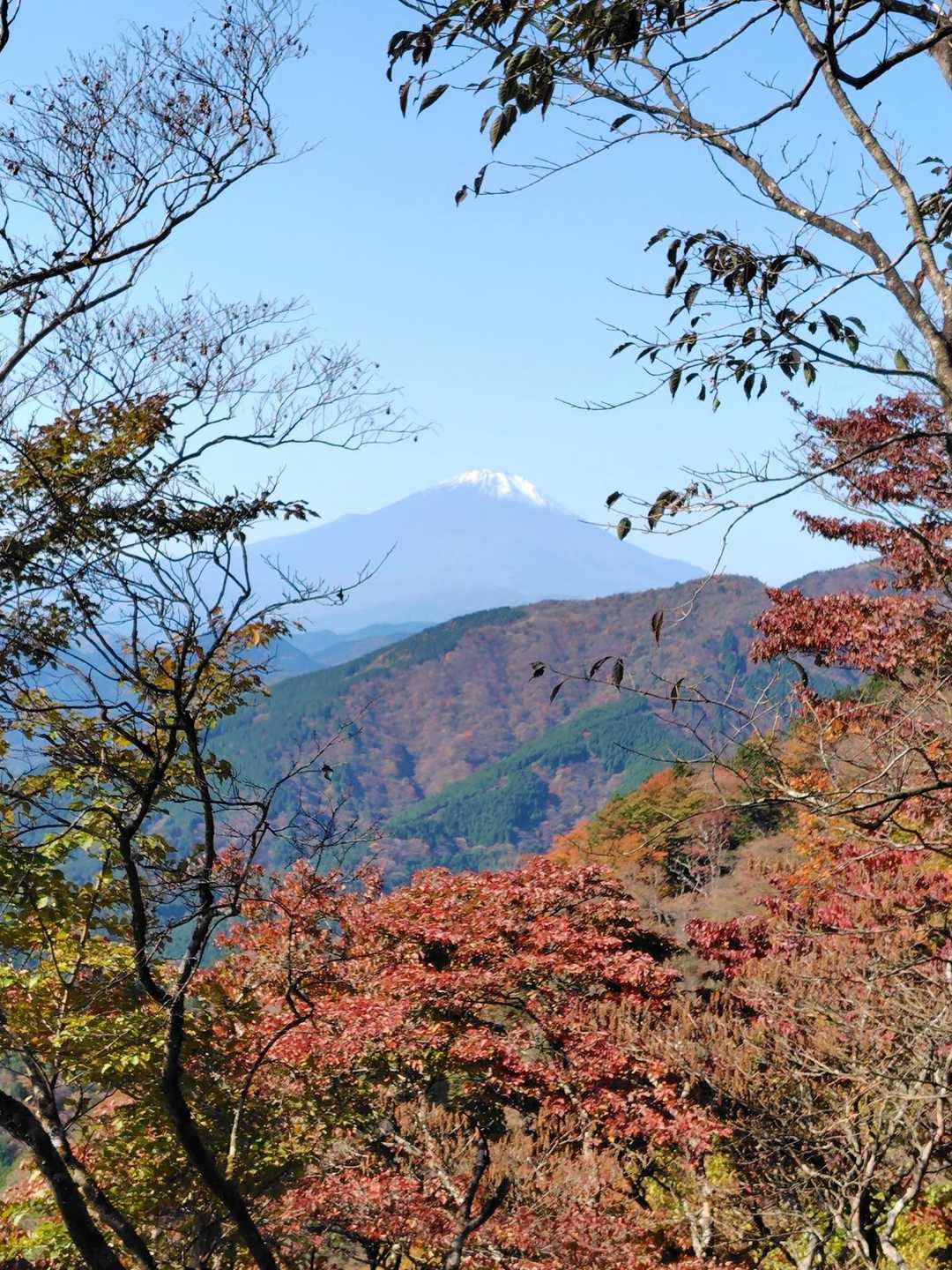 富士見台の少し上にも富士山の展望スポットがありました。
ここは紅葉と富士山がうまい具合にコラボしてました。