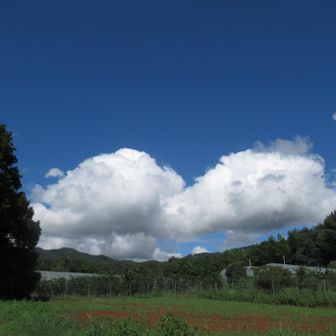久し振りの青空