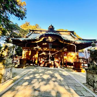 愛宕神社におりてきました⛩️