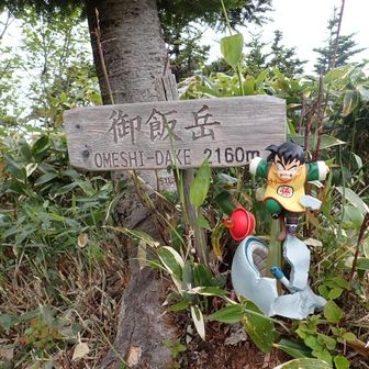 漢字も違うし
読み方も違うって
お父さんを、いじめるな〜‼️