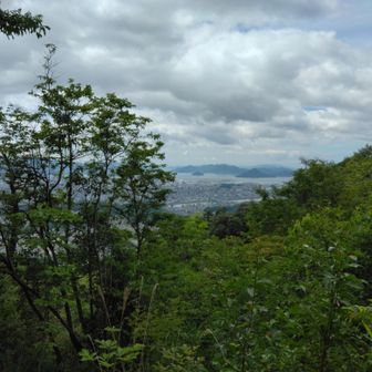 山頂そばから