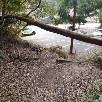 駐車場の近くに帰還！