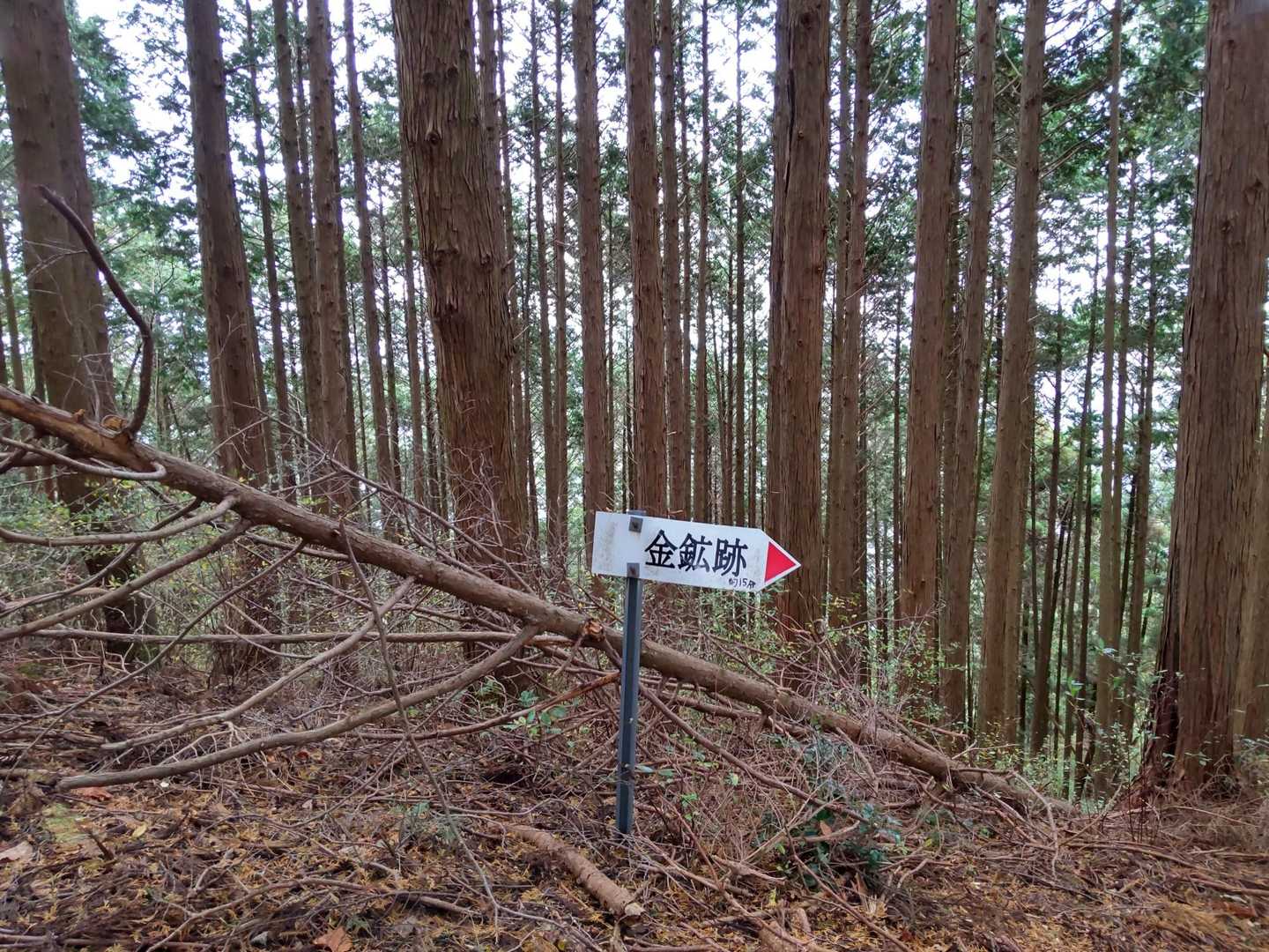 金鉱跡？   少し行ってみた