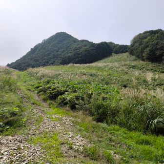 見返り高倉山⛰️右コースも有るけど、雑草で見えない😆