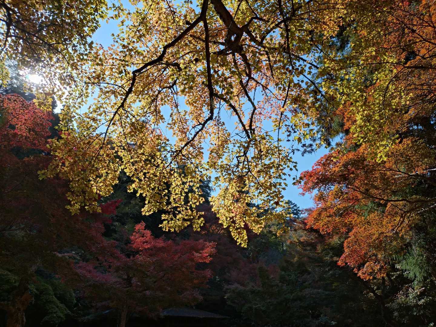 弥山登山道入口-弥山 往復コースの写真