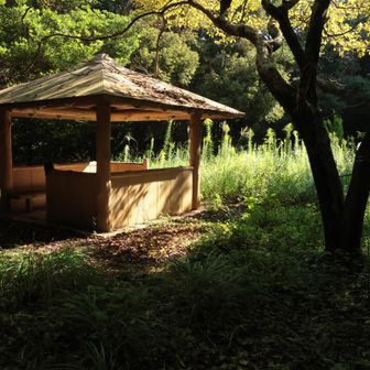 中峰(172m)...じゃなかった！
『上ノ山(228m)』だった