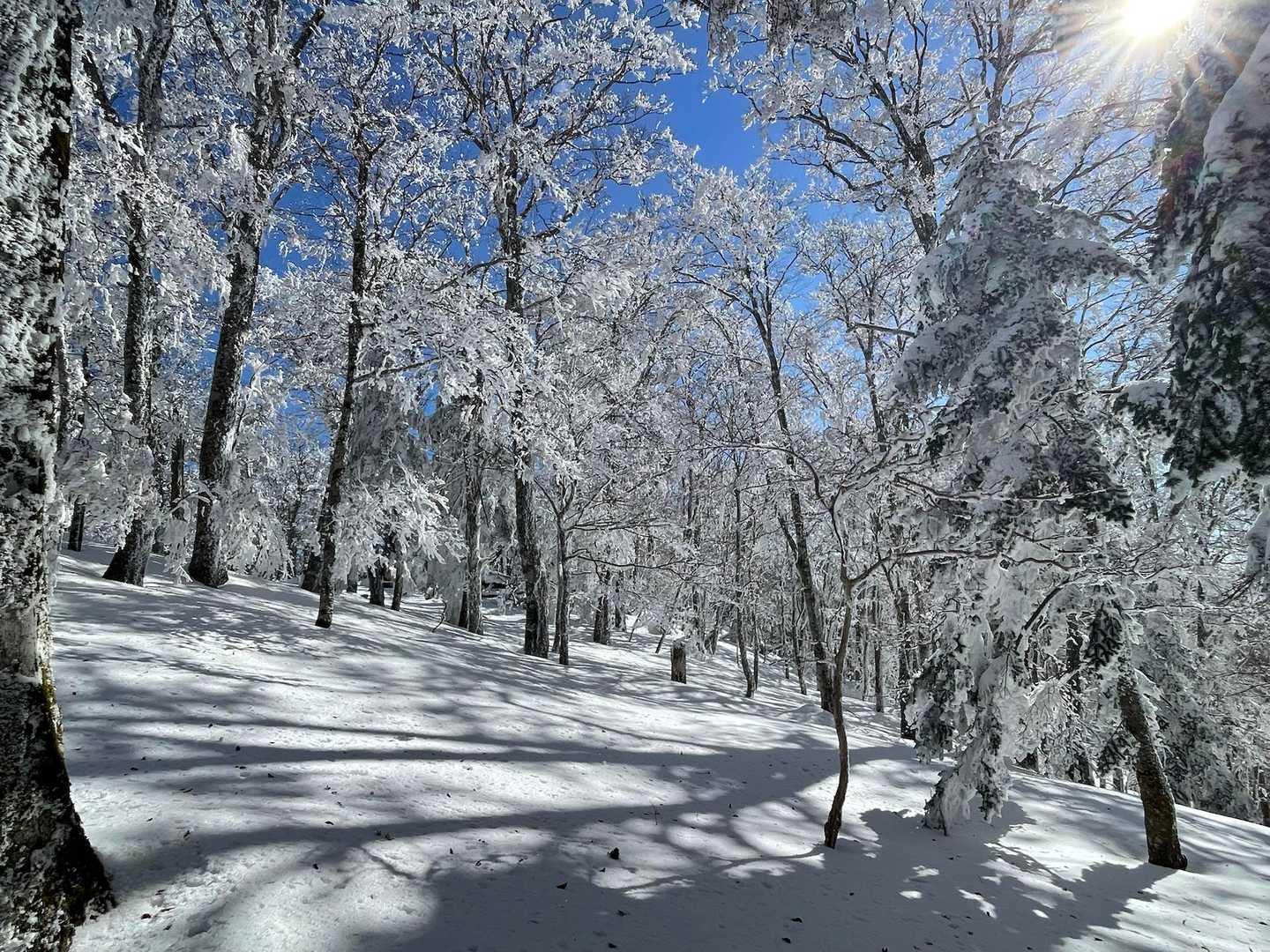 天女の頂へ最後の急登