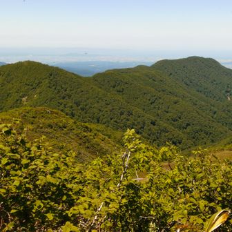 仁王山の向こうは富山平野