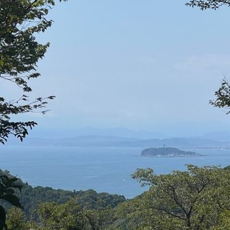 江ノ島だ〜🏝️