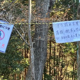 灰色の愛宕山ピークは立ち入り禁止