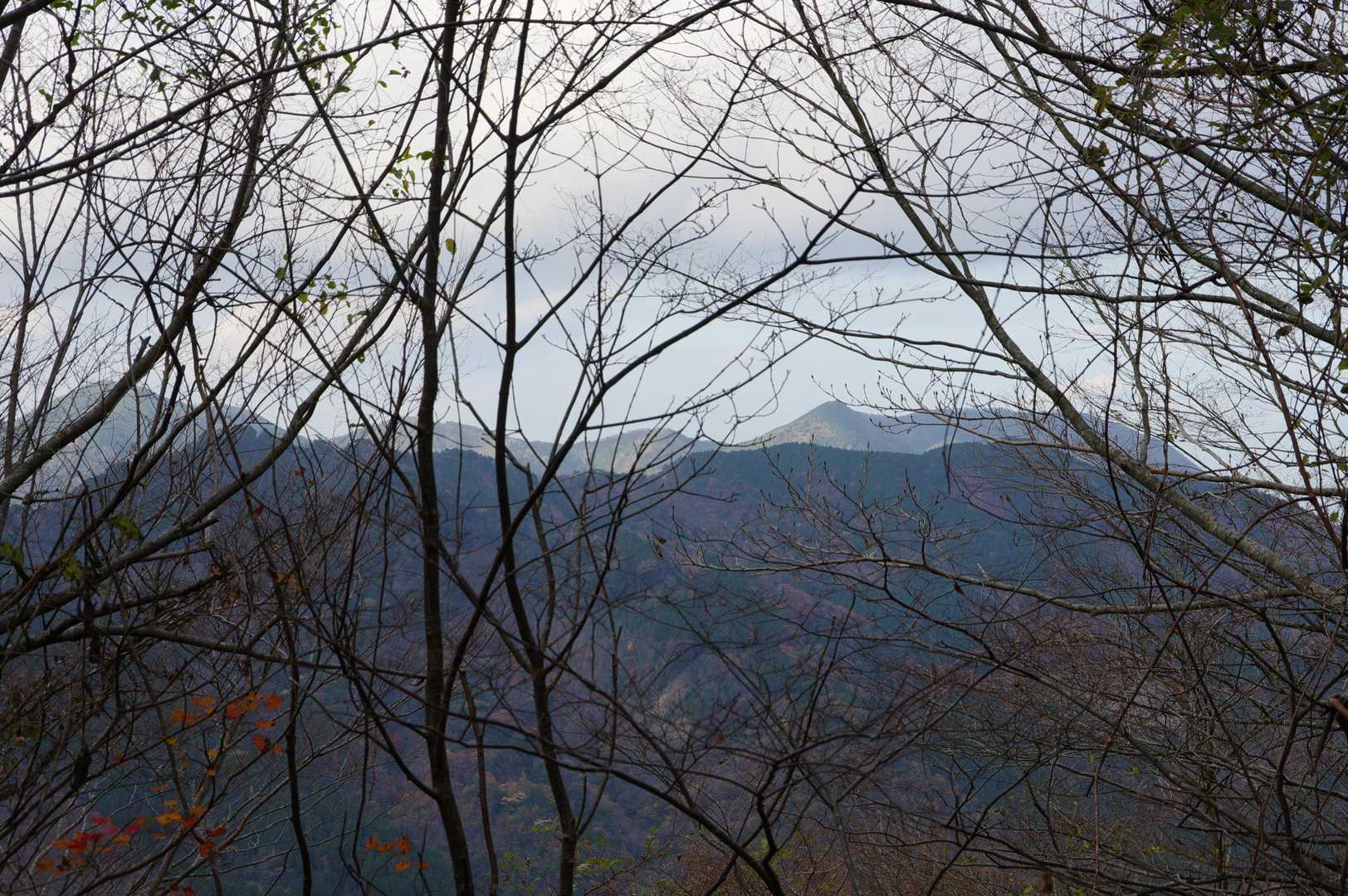 行ったことがなかったので、林道を少し進んでみた。惣見山方向の景色