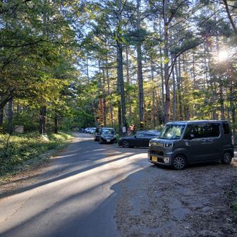 八ヶ岳自然文化園から5.1km、標高差340mのアプローチ路でようやく舟山十字路。駐車場はほぼ満車。
　上り坂を走るとか無理だし、もう疲れた⋯😞