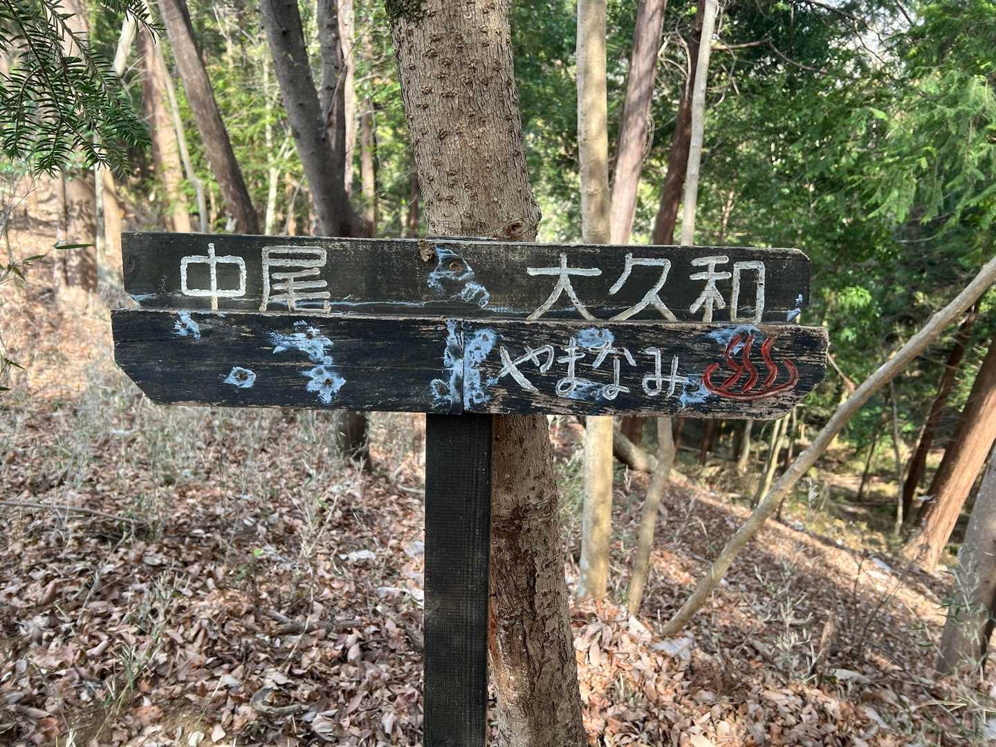 ♨️いこ