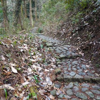石畳が続く。朝の雨で滑りやすい
