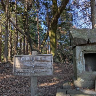 あっという間に山頂