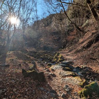 ロックガーデンの岩々