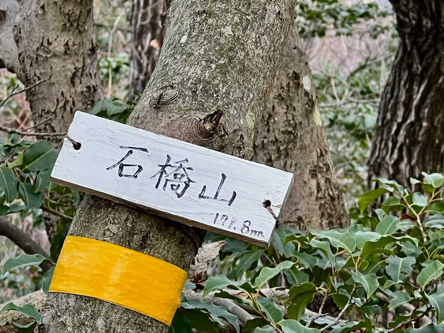 石橋山の写真